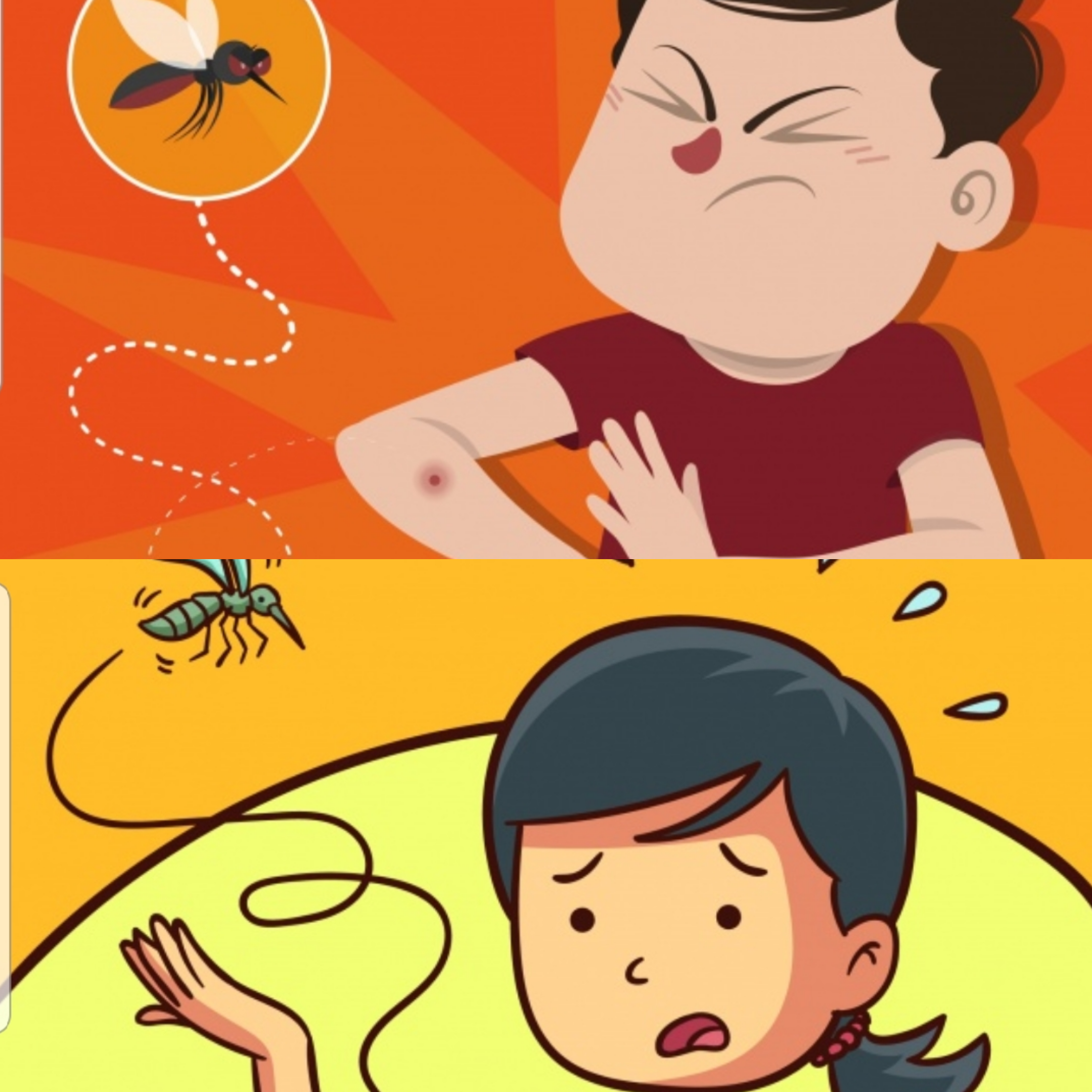 Pasta de Lassar en San Luis Potosí